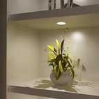 LED-spot L&S Chip 12V