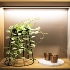 LEDLIST MOOVE 1 EMOTION 24V 30W 2700-4000K 3000MM BLACK